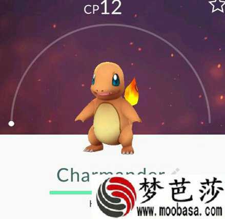 pokemongo稀有宠物坐标