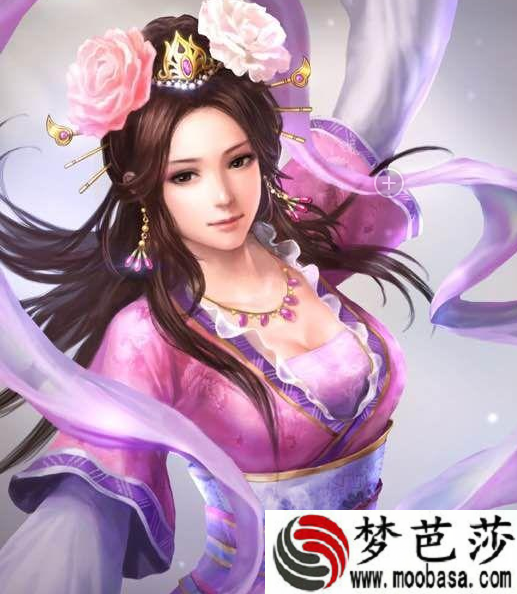 三国志13智君子鉴都有哪些获取途径