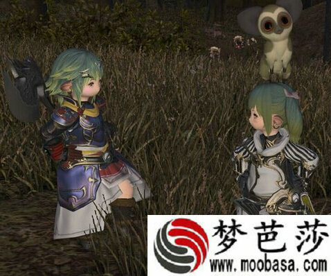 ff14