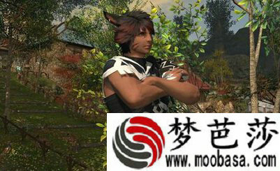 ff14